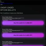 BitVault - Cheap Loaded Bitcoin Wallet Privatekeys