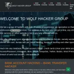 Wolf Hack Group