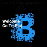 BitFit - Grow Your Money