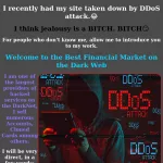 BEST FINANCIAL MARKET